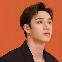 Christopher Bang/Bangchan🐺