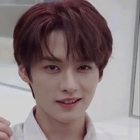 Lee Minho/Lee Know/Lino🐰