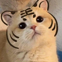 แอดเอง:)