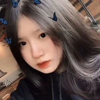 ขิม แฝด