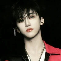Jung Jaemin ( Vampire )