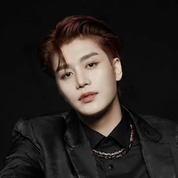 Kim Taeil ( Wolf King )