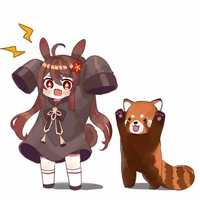racoon