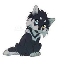 nebi