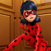 lady bug