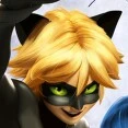 cat noir