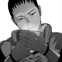 ☁shikamaru ☁