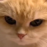 ตัวคุณ
