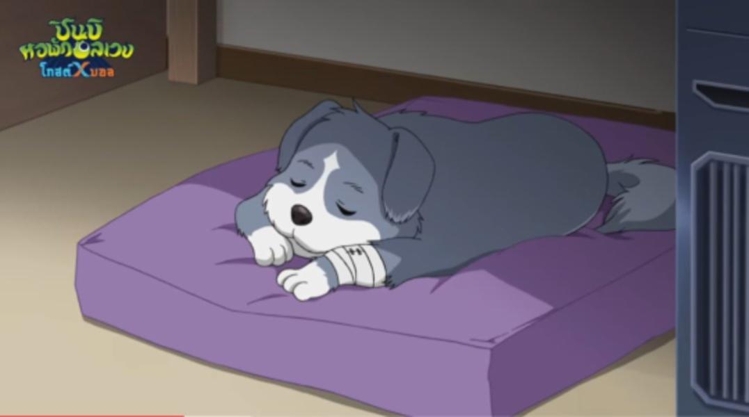 NovelToon