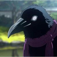 corvo mensageiro