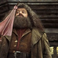 Hagrid