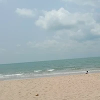 แอด