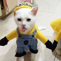 แอด