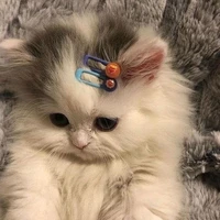 จุ๊ปุ๊