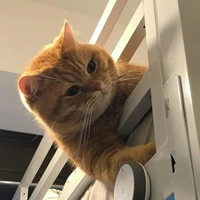 แอด