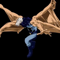 Shoji
