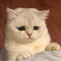 มล