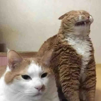 เมก