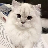 U.
