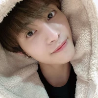 yang yang | sekertaris P. J. N