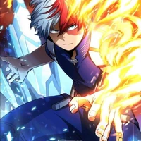 โทโดโรกิ