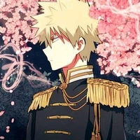 bakugou katsuki(O.P)*19*