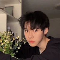 ยูฟ่า