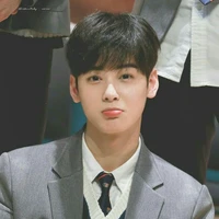 cha eun woo