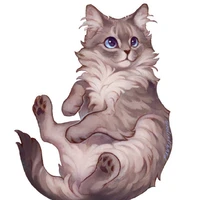 Duki