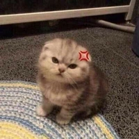 แอดเองคร้าา