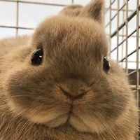 มุ่ง🌻🐇