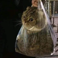 เเอดเองง้าบ