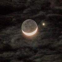Moon Bro