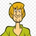 Shaggy
