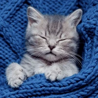 Snoozy