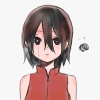 Sarada chiquita(???)