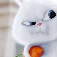 แอดเอง