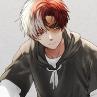 ❄🔥Todoroki🔥❄