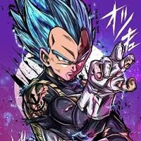 Vegeta ssjb damaged