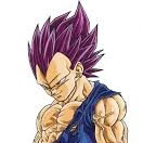 Vegeta ue damaged 4,