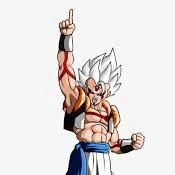 perfected Omni God gogeta