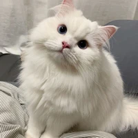 น้องสมกอย