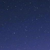 เเม่เลี้ยง