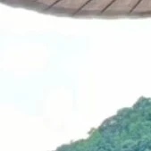 เเอด