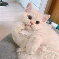 มีน(น.อ)
