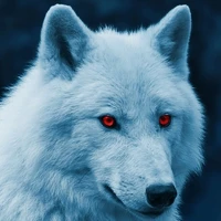 Jacob (Rei lobo)
