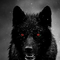 Denis forma lobo