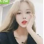 แม่พระเอก