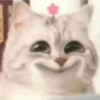 ดัดจริต  แอด