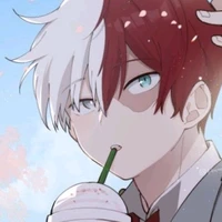 shoto todoroki